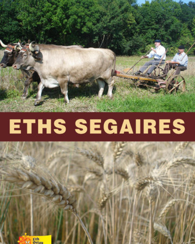 Eths Segaires